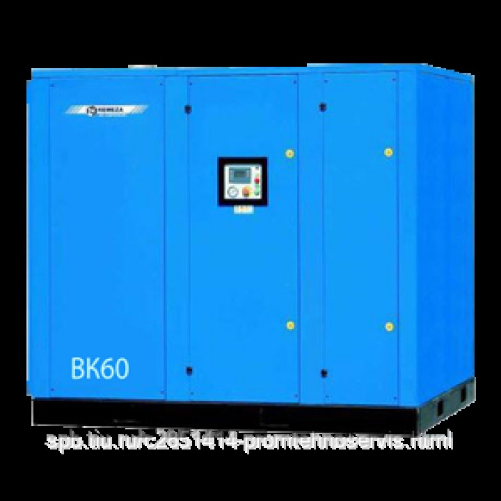 Безмасляный винтовой компрессор Remeza ВК60-2,0